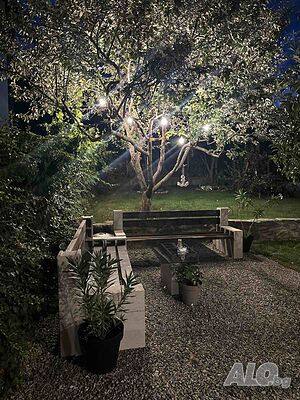 image_19