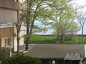 image_12