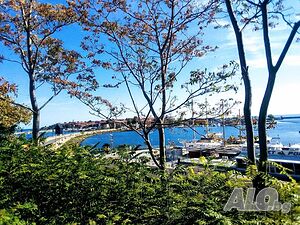 image_19