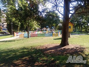 image_17