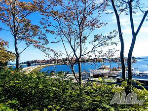 image_29