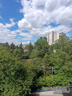image_8