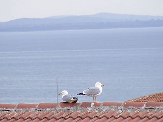 image_12