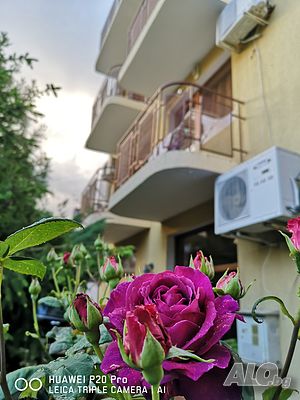 image_12