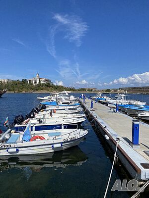 image_12