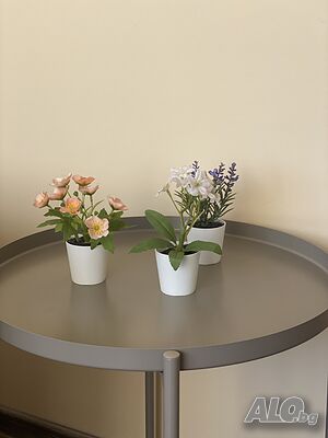 image_10