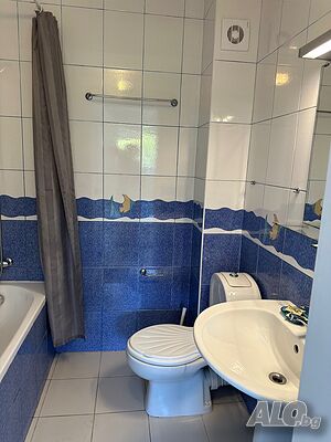 image_19