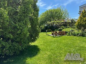 image_22