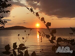 image_27