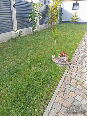 image_16