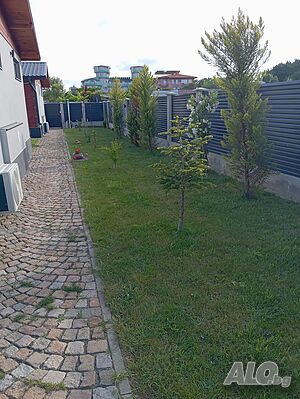 image_19