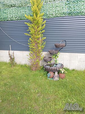 image_22