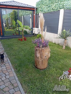 image_24