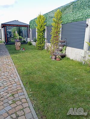 image_26