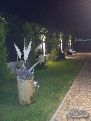image_28