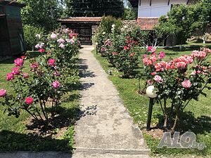 image_9