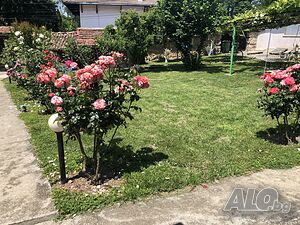 image_10