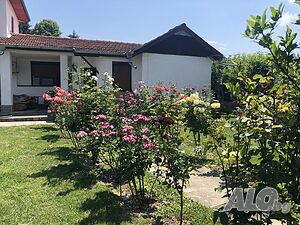 image_11