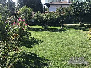image_21
