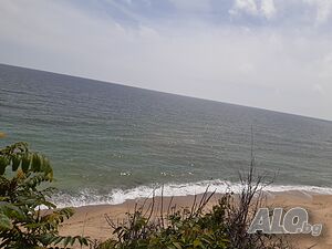 image_3