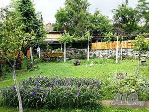 image_16