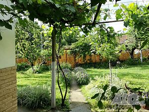 image_18