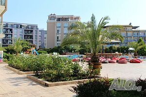image_3