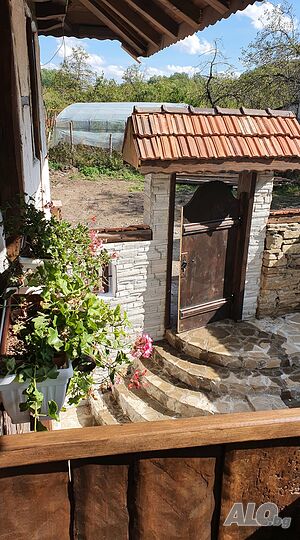 image_11