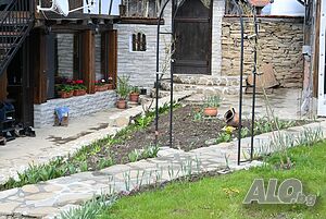 image_24