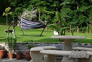 image_38