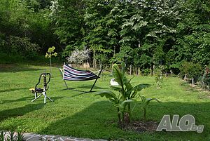 image_39