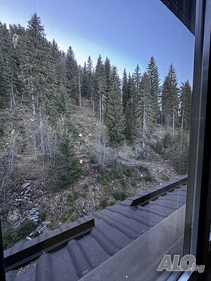 image_15