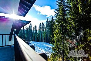 image_16