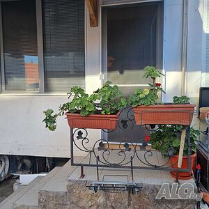 image_8