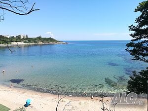 image_11