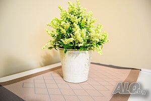 image_12