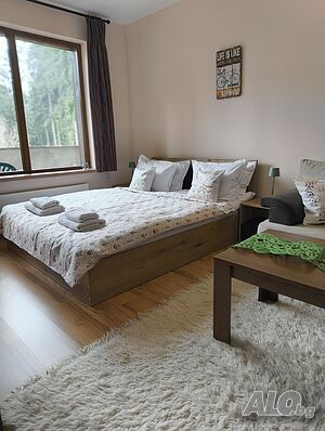 image_10