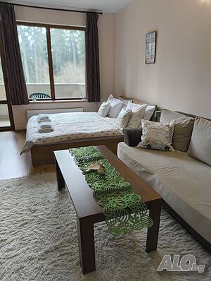image_11