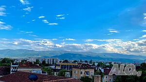 image_46