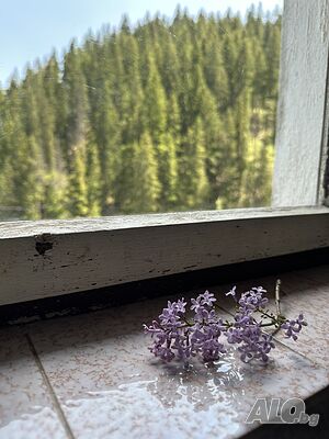 image_12
