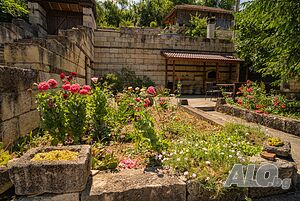 image_10
