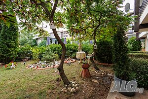 image_12