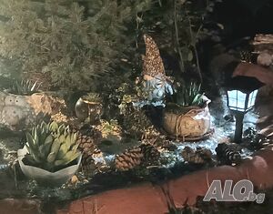 нощувки Двустаен апартамент с тераса и ДВОРЧЕ в полите на Пирин планина за нощувки.