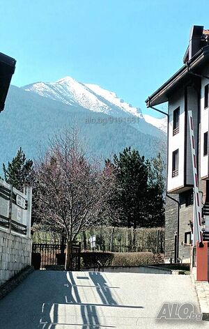 image_44