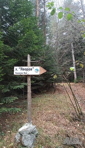 image_45