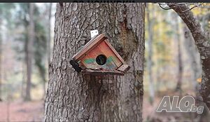 image_46