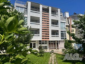 image_8