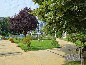 image_36