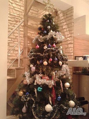 image_28