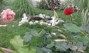 image_34